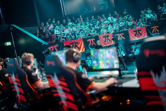 贝尔戈米的 贝尔戈米的